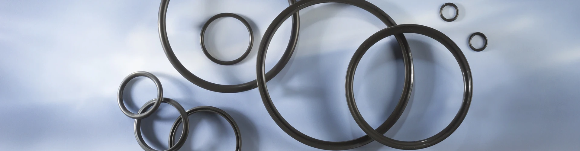 elastomeri guarnizioni